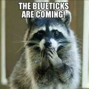 Meet your Posher, Bryar